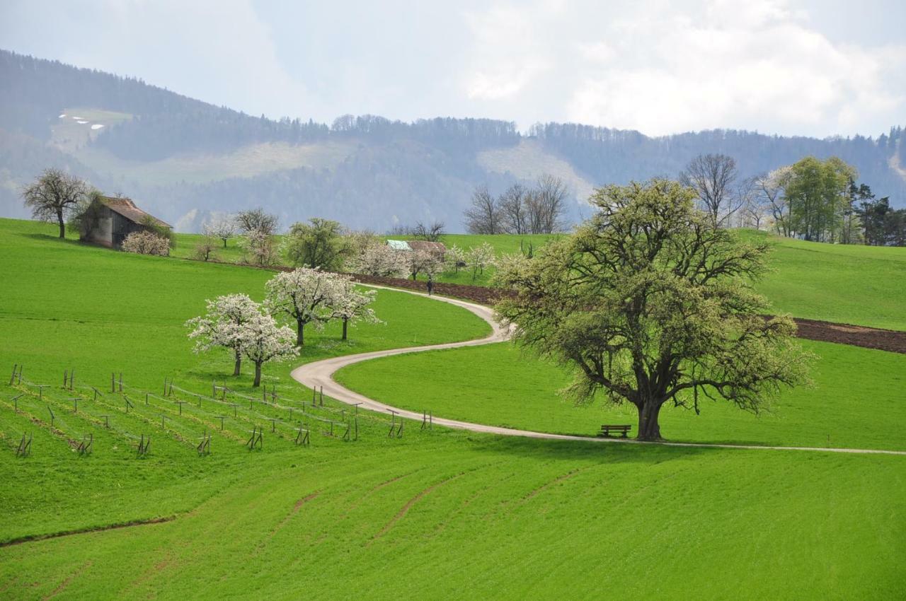 B&B Zum Rossli Zunzgen 外观 照片